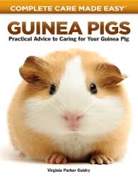 Maybe you would like to learn more about one of these? Read Guinea Pigs Online By Virginia Parker Guidry And Carolyn Mckeone Books