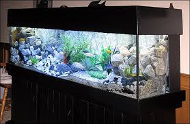 Aquarium Caves And Ornaments For Sale At Aquariumfish Net Aquarium Aquarium Decorations Fish Tank