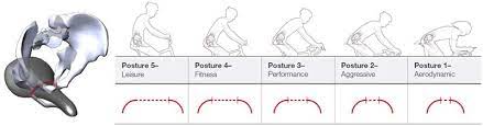 Obtaining a width measurement for your sit bones (ischial tuberosities) can be useful for establishing a rear saddle width. Saddle Comfort For Cyclists The Best Bicycle Touring Seats Cyclingabout