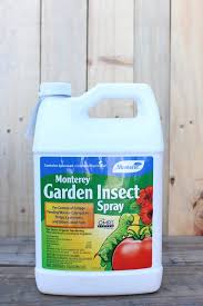 Image result for Spinosad