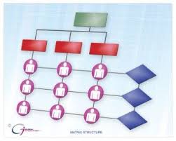 what are solid line reporting and dotted line reporting