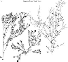 La politique rh de ctm en cinq engagements: Https Link Springer Com Content Pdf 10 1007 2f978 94 009 5806 7 Pdf