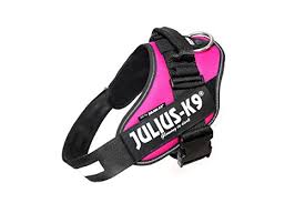 Julius K9 16idc Dpn 1 Idc Powerharness Dog Harness Size 1 Dark Pink