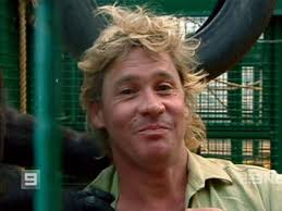 Steve Irwin was set to receive honorary degree before his death