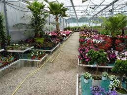 L'europe investit dans les zones rurales marque. Les Jardins De Sologne Jardinerie La Ferte Beauharnais 41210 Adresse Horaire Et Avis