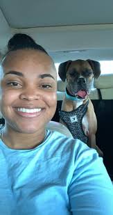 Lost male boxer at Walmart in Southport, NC