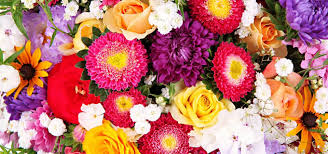 We would like to show you a description here but the site won't allow us. Local Tulsa Flower Shops For Valentine S Day Tulsago