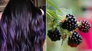 This Blackberry Dye Job Is The Perfect Spring Hair Color Trend For Anyone With A Dark Side Spring Hair Color Blackberry Hair Colour Spring Hair Color Trends