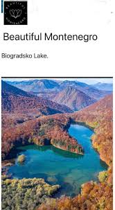 Gornji deo biogradskog jezera potpuno je presušio zbog ekstremne suše, a dubina je prepolovljena i iznosi samo šest metara. Biogradsko Jezero Kolasin Honorary Consulate Of Montenegro In Israel Facebook