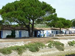 Port Du Douhet Ile D Oleron Oleron Ile