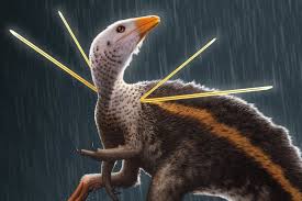 ) seperti yang mbak maria angelia jelaskan pada jawaban sebelumnya bahwa garis tersebut merupakan garis. Tak Pernah Terlihat Sebelumnya Dinosaurus Ini Punya Pita Kaku Di Bahu Halaman All Kompas Com