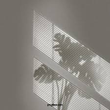 Window Green Plant Shadows Illuminated By Sunlight Light Shadow Window Shadow Green Plant Projection Png Transparent Clipart Image And Psd File For Free Down Window Shadow Light And Shadow Shadow