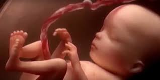 Un bébé de 600 grammes et 34 cm est né par prématurité provoquée à 6 mois et demi de grossesse. Outil De Calcul De Grossesse Date D Accouchement