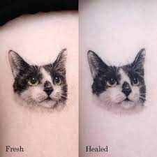 And what are some signs that a tattoo isn't healing properly? Tattoo Aftercare Everything You Need To Know 2021 Updated Saved Tattoo