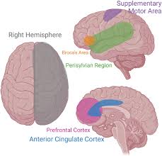 Image result for Echophenomena