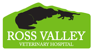 2999 solano ave, napa, california 94558, united states. Veterinarian In San Anselmo Ca Ross Valley Veterinary Hospital