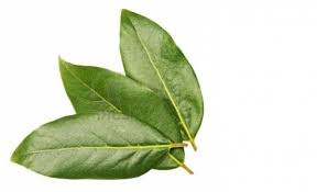 Pin En Salud En General