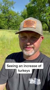 I hate when all the blame is put