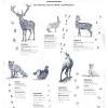 Look through examples of tierspuren translation in sentences, listen to pronunciation and learn grammar. 1