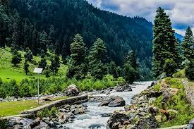 Kashmir 6N7D