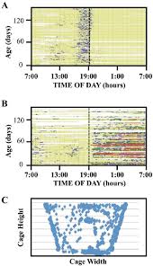 Behavior Patterns Of A Single Fly A Event History Chart