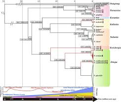 We did not find results for: Genetic Differentiation And Divergence Time Of Chinese Parnassius Lepidoptera Papilionidae Species Based On Nuclear Internal Transcribed Spacer Its Sequence Data