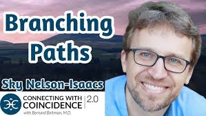 The Synchronici-Tree