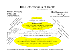 Health Determinants Interventions An Ecological View Health Promotion Health Coach Health