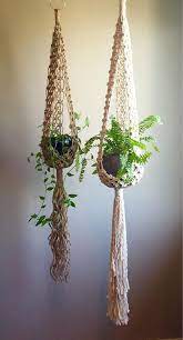 Pin On Plants