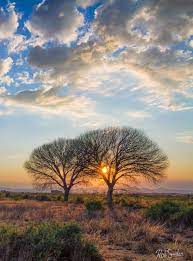 International union of aesthetic medicine (uime), south african medical association (sama), . Sunrise Great Karoo South Africa By Rob Southey South Africa Vacation Africa Photography South Africa Road Trips
