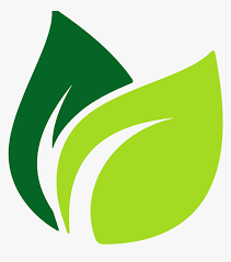 On this page, you can find and download free vectors for your design flashlight. Image Result For Leaf Vector Origins Pinterest Vector Leaf Logo Png Transparent Png Kindpng