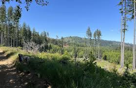Rock Candy Mountain Trail, Washington