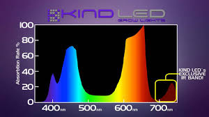Maybe you would like to learn more about one of these? Lush Led Vs Kind Led Led Grow Light Challenge Youtube
