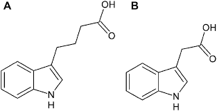 Voltammetric determination of plant hormone indole-3-butyric acid in acidic  media employing boron-doped diamond electrode