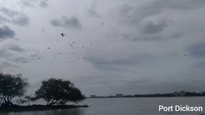 Breakfast so far ok je. Pasang Surut Di Port Dickson Pantaibaganpinang Pulaukecil Pd Portdickson Youtube