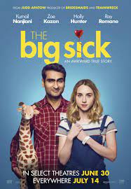 Again kumail nanjiani proved his versatility with an amazingly strong performance (in my opinion award winning). Si Ya Me Encontre Con El The Big Sick Full Movies Online Sick Movie