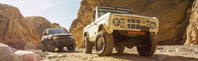 Image result for Arizona Beige 2024 Ford
