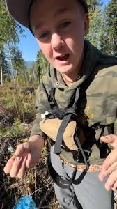 Discover the Astounding Regeneration Abilities of the Blood Star and Bat  Star