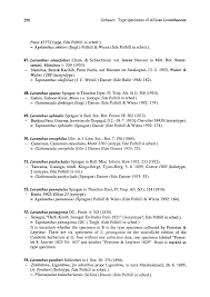 Image result for Globimetula mweroensis