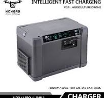 High Efficiency EV-Peak UD3 Smart Charger 12s 14s 6000W 100A ...