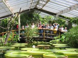 Parkanlage, forschungsstätte und museum in berlin. Botanische Nacht 2019 In Berlin Lichterfelde Alles Zu Anfahrt Tickets Und Programm Berliner Morgenpost