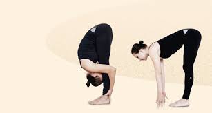 Check spelling or type a new query. Yoga Fur Anfanger Sonnengruss In Sechs Schritten Aufgeteilt Gotta Joga