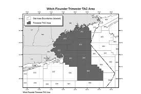 We did not find results for: Closure Of The Witch Flounder Trimester Total Allowable Catch Area Noaa Fisheries