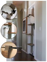 Cat Climber L Arbre A Chat De Poche Euh De Porte Chat Grimpeur Arbre A Chat Mobilier Pour Chat