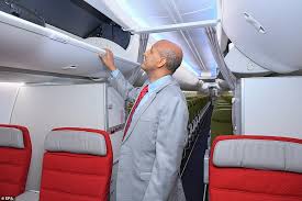 Both crashes involved the same model of plane — boeing's 737 max 8 — and both pilots reported flight control issues, causing aviation authorities to ground the model thousands of ethiopians gathered at the capital's holy trinity cathedral on sunday for a funeral mass to honor the victims. Ethiopian Air Crash Airlines Ground Boeing 737 Max 8 Jets Daily Mail Online