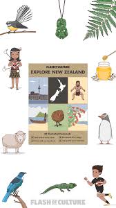 New Zealand Flashcards Flashcards Maori Words Animal Books