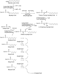 Coa or coa may refer to: Long Chain Fatty Acid Coa Ligase An Overview Sciencedirect Topics