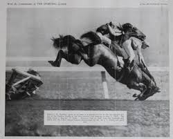 The favorite in the first steeplechase race of the thoroughbred season, suffered multiple fractures of the left knee yesterday when he. Jumps Racing History Horse Racing Kills