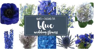 Add purple flowers to your entryway so that guests feel calm and welcome upon entry. Essential Blue Wedding Flowers Guide Types Names Seasons Pics