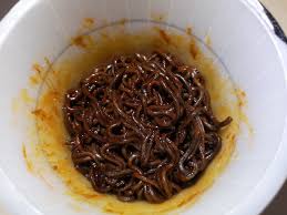 These ghost pepper are unmissable cheat codes. 1952 Mamee Daebak Ghost Pepper Spicy Chicken Flavour Dry Black Cup Noodles Happysouper De